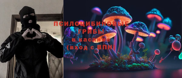 амф Алексин