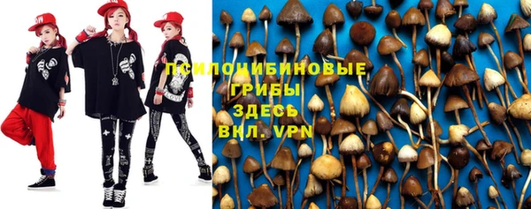 хмурый Данков