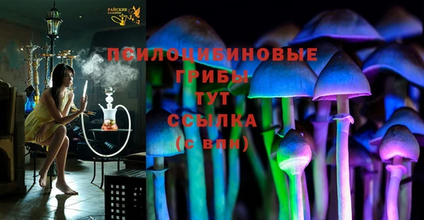 амф Алексин